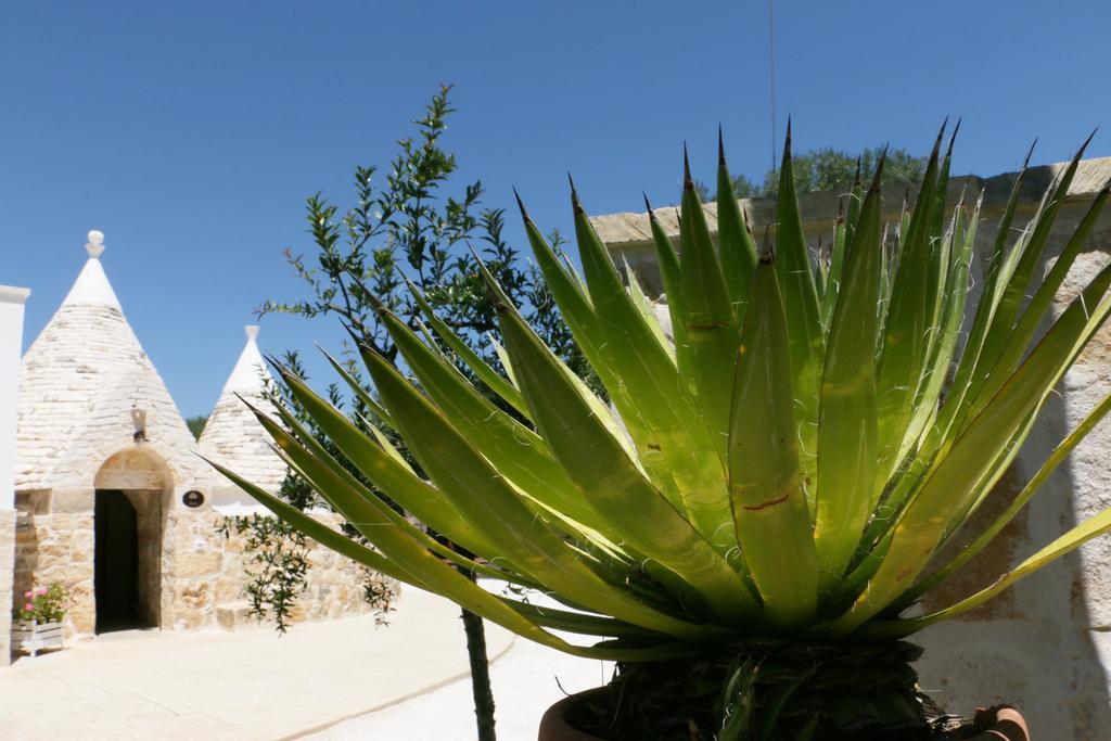 Residence Spadalunga San Michele Salentino Dış mekan fotoğraf